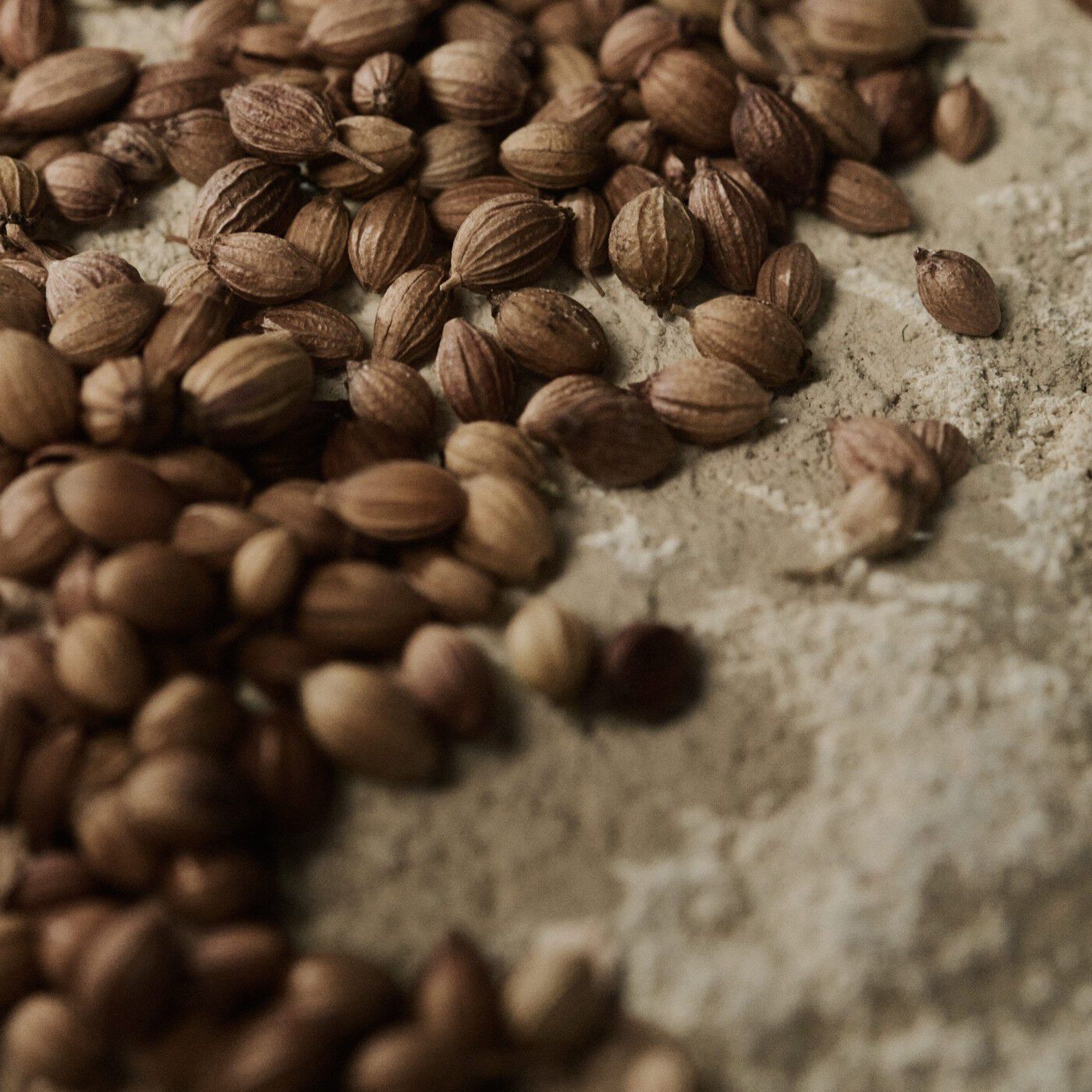 Close-up of coriander seeds scattered across a pale textured surface.