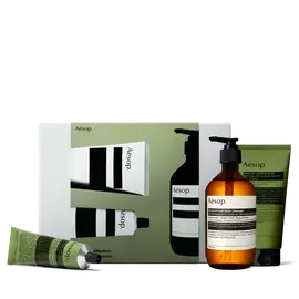 An amber pump bottle and two green tubes, one lying
down, are arranged before an olive-green and silver-grey Aesop box.