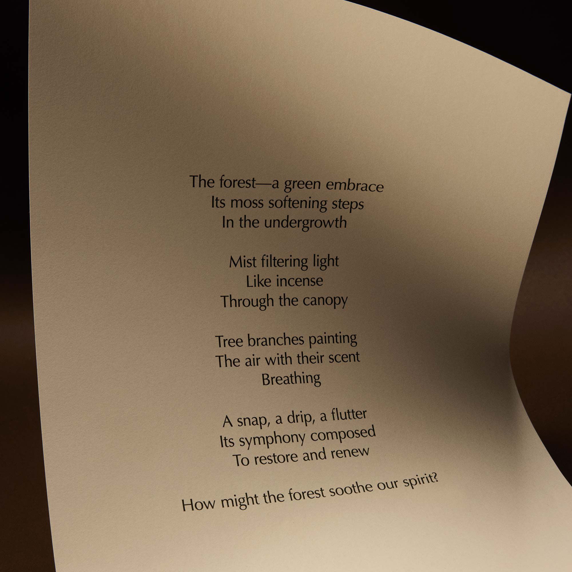 Silently, Hwyl Eau de Parfum