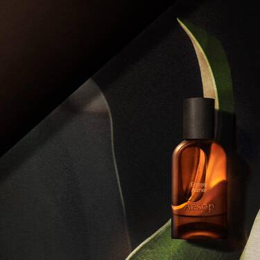 Single amber Aesop bottle lit by a warm glow, framed by curved leaf-like forms in dark green, cream and black tones.