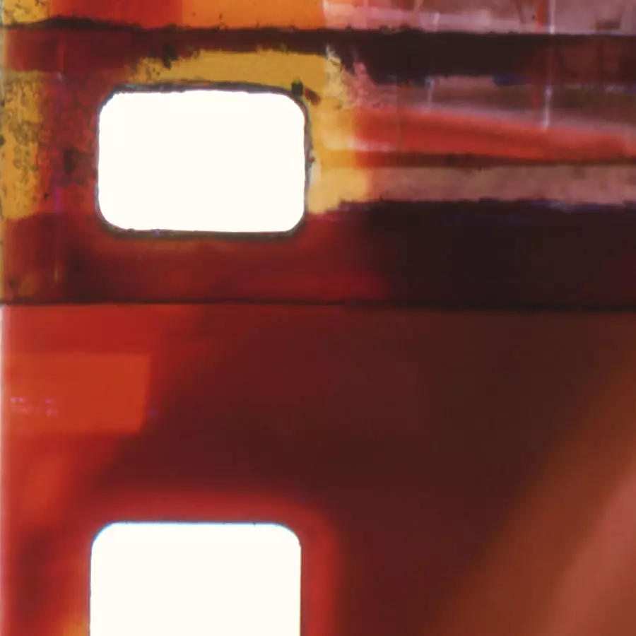 Skin Type Image