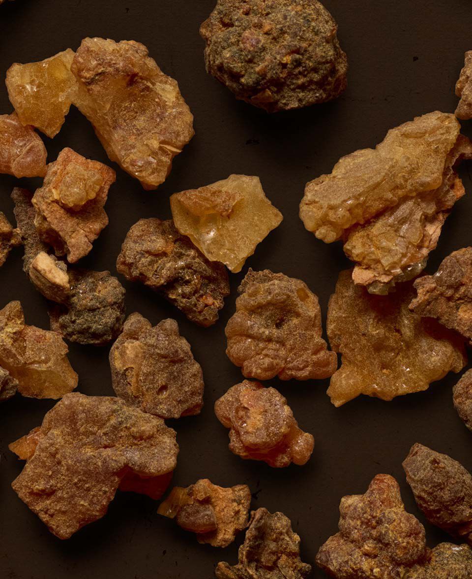 Close-up of amber resin pieces scattered across a dark brown surface.