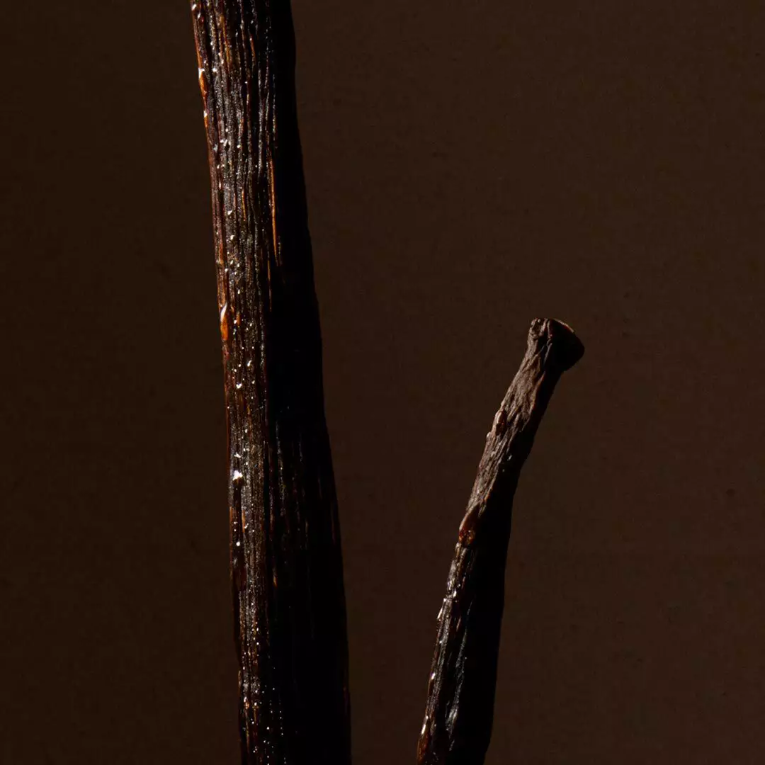 Close-up of dark vanilla pods against a deep brown background.